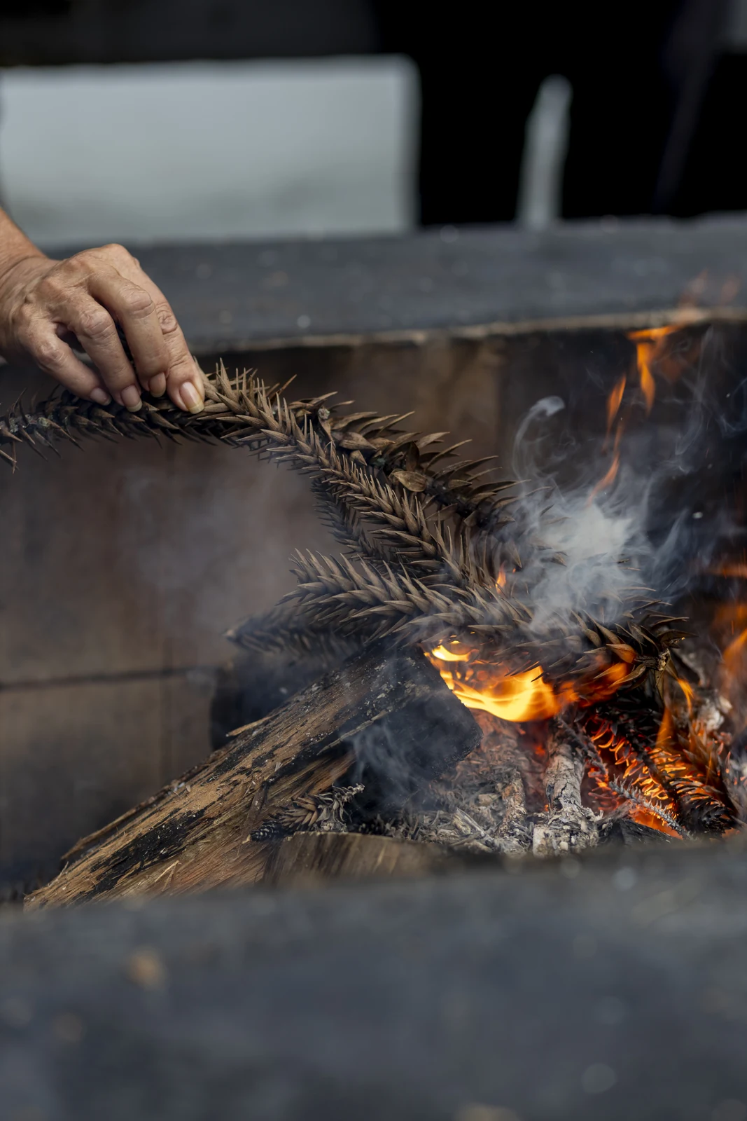 Registro de uma vivência junto ao fogo